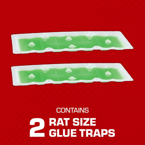 Tomcat Super Hold Glue Traps Rat Size for Rats, Mice, Snakes, Cockroaches, Spiders, and Scorpions, Ready-To-Use, 2 Traps...