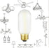 Leools E26 LED Bulb 6W Equivalent e26 led Bulb 60 Watt Dimmable Daylight 4000K Frosted Glass E26 Edison Bulb AC120V 600lm Tubular T14 T45 LED Bulb...