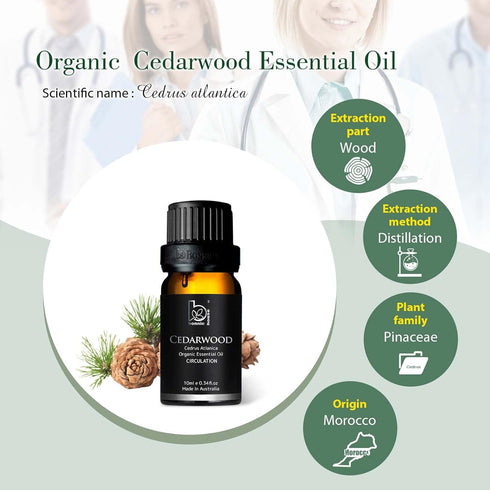 Organic Atlas Cedarwood Essential Oil - 100% Pure, Therapeutic Grade for Aromatherapy, Skin Care, Diffuser - 10ml Oil by B BONNIE HOUSE...