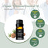 Organic Atlas Cedarwood Essential Oil - 100% Pure, Therapeutic Grade for Aromatherapy, Skin Care, Diffuser - 10ml Oil by B BONNIE HOUSE...