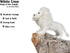 Ice King Bear White Lion Stuffed Animal, Lifelike Plush Toy, 12 Inches Length...