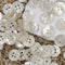 20 Pieces Genuine White Mother of Pearl Buttons for Shirts Dresses Polo DIY Craft (Diameter 10MM)...