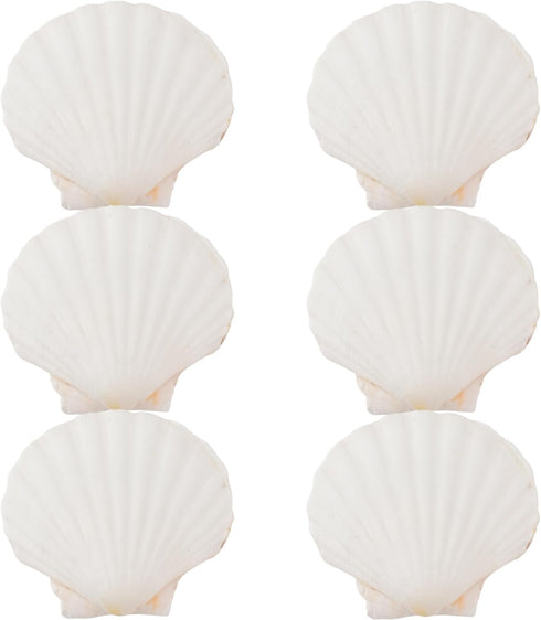 6PCS 4inch Scallop Shells, White Sea Shell for Crafting, DIY Painting, Home Wedding Decoration Natural Scallop Shells...