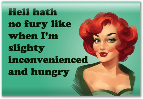 4 Pack Refrigerator Magnets - Funny Fridge Magnet - Perfect Housewarming Gift, or Gift for Women Friends...