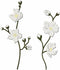 Pear Blossom Plant Metal Cutting Dies for Card Making, Paper Embossing Die Cuts Kit Templates, Storage Pockets Supplies, Photo Frame Album DIY Scr...