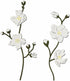 Pear Blossom Plant Metal Cutting Dies for Card Making, Paper Embossing Die Cuts Kit Templates, Storage Pockets Supplies, Photo Frame Album DIY Scr...