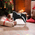 Dog Hoodie, Dog Clothes 4 Legs Sweatshirt Security Hoodies Jumpsuit Soft & Warm Sweater Outfit Pullover Dog Winter Coat, Dog Hoodies for Small Med...