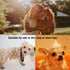3 Pcs Dog Comb Pet Cat Grooming Combs for Matted Shedding or Knotted Hair, Stainless Steel, Medium Coarse, TuNan Metal Anti Knot Hair Combs for Sm...