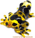 Handmade Mini 2" Blown Glass "Yellow-Banded Poison Dart Frog" Figurines Figures Art,Collectible Dollhouse Gift Ideas,Miniature Animals,Tiny Orname...