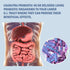 Probiotics for Women and Men 40 billion CFUs Living Probiotics 20x more effective wth Maktrek...