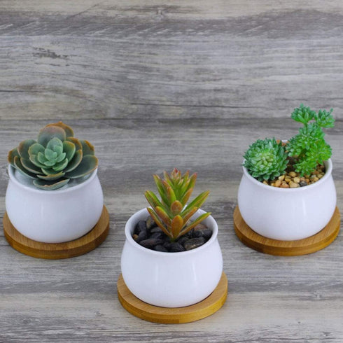 6pcs 3 inch Bamboo Round Plant Saucer, Mini Flower Pot Tray for Cactus Plant Pot Flower Pot Container Planter Bonsai Pots,no Plants Pot...