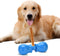 2024 Upgraded Bully Stick Holder for Dogs, Dog Treat Chew Holder, Fits All Dog Sizes?Security Hold Device, Small/Blue....