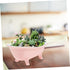 Succulent Flower Pot Planters for Indoor Plants Dresser Decor Bathtub Planter Planting Container Clawfoot Tub Planter Desktop Flower Pot Plant Pot...