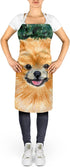 Caroline's Treasures SS8725APRON Pomeranian Apron Cooking Kitchen Server Baking Crafts Gardening for Adult Women Men, Unisex, Large, Multicolor...