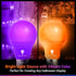 4 Pack A19 LED Purple Light Bulb LED Orange Light Bulb 120V E26 Base 9 Watt (60-watt Replacement) Purple Bulb Orange Bulb, Party Decoration, Porch...