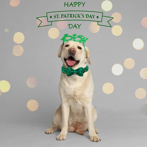 Elegant little tail St. Patrick's Day Dog Collar, Dog Collar with Bow, Green Clover Dog Collar Pet Gift Dog Bowtie Adjustable Dog Collar for Large...