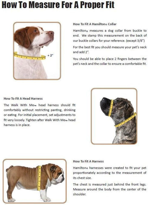 Hamilton Double Thick Nylon Deluxe Dog Collar with Brushed Hardware Finish, 1-Inch by 20-Inch, Graphite...