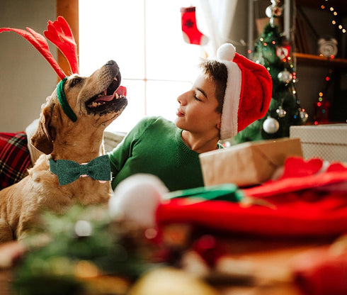 DOGWONG Hemp Cotton Dog Collar with Bow, Christmas Green Pet Collar Durable Adjustable Puppy Collar for Large Dogs...