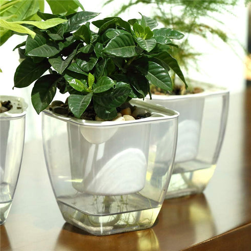Self Watering Planter , FENGZHITAO African Violet Pots, Clear Plastic Automatic-Watering Planter Flower Pot Square Plant Pot for All House Plants,...