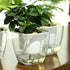 Self Watering Planter , FENGZHITAO African Violet Pots, Clear Plastic Automatic-Watering Planter Flower Pot Square Plant Pot for All House Plants,...