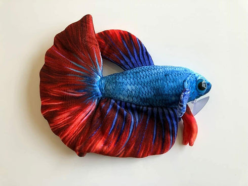 Red Blue Betta Plus 6"...