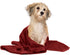 DAN RIVER Dog Towels for Drying Dogs Large, 100% Cotton Puppy Bath Towel, Ultra Soft 450 GSM Super Absorbent Quick Dry Pet Grooming Supplies, 20x4...