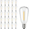 25 Pack Dimmable Edison Light Bulb Warm White 0.6 watt G40/E12 Screw Base,ST38 LED Shatterpro Bulbs for Indoor/Outdoor Courtyard String Lights...