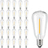 25 Pack Dimmable Edison Light Bulb Warm White 0.6 watt G40/E12 Screw Base,ST38 LED Shatterpro Bulbs for Indoor/Outdoor Courtyard String Lights...