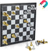 Silver and Golden Travel Chess Set 9.8'' with Game Board - Educational Games for Adults and Kids (9.8''_Silver and Golden)...