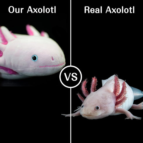 ZHONGXIN MADE Axolotl Plush Toy - Simulation Pink Axolotl Fish Soft Creepy Stuffed Animals 21 Inch, Cute Pink Lizard Toys Real Plushie Toy, Gift C...