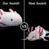 ZHONGXIN MADE Axolotl Plush - Pink Axolotl Stuffed Animal, Realistic 20" Cute Ambystoma Creepy Amphibians Plush Toys, Unique Plush Gift Collection...