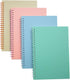 Yansanido Spiral Notebook, 4 Pcs A5 Thick Plastic Hardcover 8mm Ruled 4 Color 80 Sheets -160 Pages Journals for Study and Notes (Light Pink,Light ...