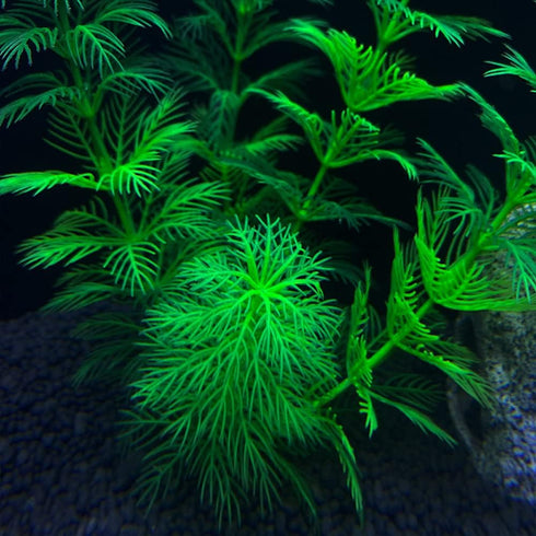 Artificial Aquarium Plants Plastic, Fake Plants for Aquarium Fish Tank, Realistic Plant 10PCS...