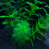 Artificial Aquarium Plants Plastic, Fake Plants for Aquarium Fish Tank, Realistic Plant 10PCS...