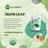 Organic Neem Powder, USDA Certified Ayurveda Herb, Promotes Healthy Hair,Clear Skin, DIY Toothpaste Resealable Pouch of 8 oz...