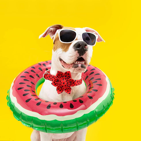 Lionheart glory Summer Dog Collar with Flower, Fruit Print Female Dog Collar Flower for Small Medium Large Dogs Adjustable Dog Flower Collar Bow...