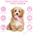 4 Pack Puppy Chew Toys for Teething Small Dogs, Pink Soft Rubber Dog Teething Toys Set for Puppies, Cute Squeaky Dog Toys for Small Breed Cleaning...