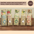 Sicilian Sea Salt with Aromatic Herbs, 7 oz, All-Natural Unrefined Flavored Sea Salt with Parsley, Rosemary, Chives, Oregano,Basil and Lemon, Arti...