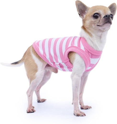 Frienperro Small Dog Shirt, 2-Pack Dog Clothes for Small Dogs Girl, Breathable Cotton Striped Teacup Chihuahua Clothes, Sleeveless Small Yorkie Pu...