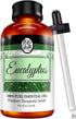 Oil of Youth Essential Oils 4oz - Eucalyptus Essential Oil - 4 Fluid Ounces - Aromatherapy Oils - Eucalyptus Oil...