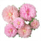 Pinks Flowers Decoration (11''-7'' Assorted) 6 pcs Artificial Tissue Paper Peony Nursery Wall Bridal Shower Centerpiece Baby Girl Birthday Tea Par...