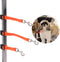 Pet Dog Grooming Table Arm Accessories - Dog Grooming Arm Extension Straps Dog Loops Dog Grooming Loops Extender Waterproof Pet Dog Grooming Suppl...