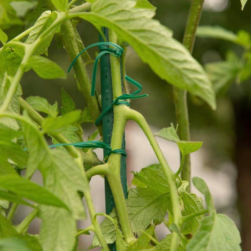 Rocky Mountain Goods Twist Ties for Plants with Cutter - Green Garden Twist Ties for Outdoor/Indoor Plants, Climbing Plants - 100 Feet Cut to Cust...