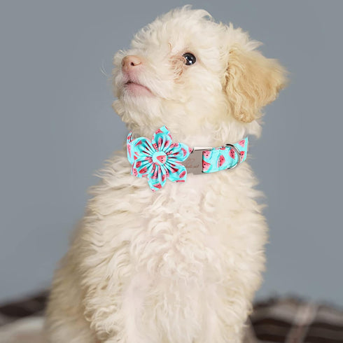 Dog Collar with Blue Watermelon Flower Tie,Cotton Dog Collar with Safety Metal Buckle Adjustable Puppy Collars for Small Medium Large Boy&Girl Dog...