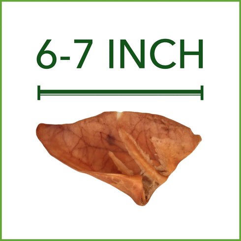 Pet Factory Real Chewz Premium Pig Ears Dog Chew Treats, 100% All-Natural - 7 Count/1 Pack...