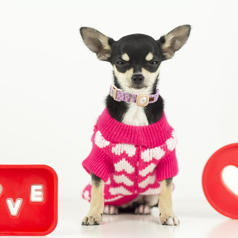 Elegant little tail Airtag Dog Collar, Valentine's Day Dog Collar Pet with Airtag Holder Heart Pet Collar Dog Girl Boy Puppy Collar Adjustable Dog...