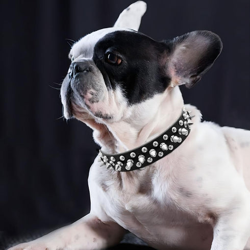 Spike Dog Collar and Leash Set, Studded Mushrooms Faux Pu Leather Durable Soft Metal Rivet Safe Spiked Cat Collars Adjustable for Small Medium Lar...