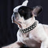 Spike Dog Collar and Leash Set, Studded Mushrooms Faux Pu Leather Durable Soft Metal Rivet Safe Spiked Cat Collars Adjustable for Small Medium Lar...