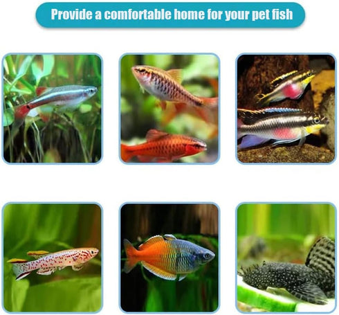 7 in 1 Aquarium Test Kit, 100 Strips Aquarium Water Test Kit, Test Strips for Freshwater/Saltwater Aquarium, Fast & Accurate Water Testing Strips ...