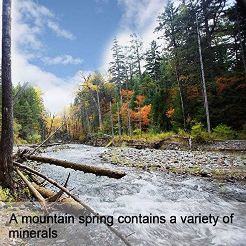 Wananfu Schisandra Berry Dried 4oz, Schizandra Berries for Tea, Wuweizi (????)...